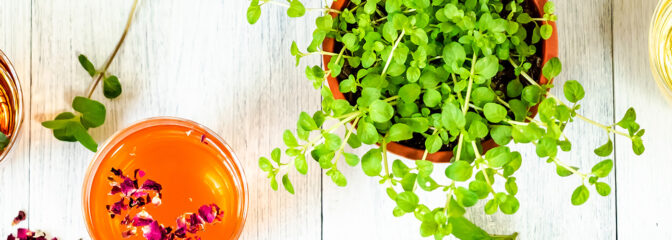 時間を楽しむハーブティー